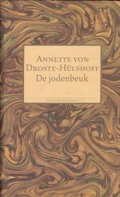 book cover of De jodenbeuk een zedenschildering uit het bergachtige Westfalen by Annette von Droste-Hülshoff