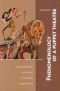 Phenomenology of a Puppet Theatre: Contemplations on the Art of Javanese Wayang Kulit (Verhandelingen)