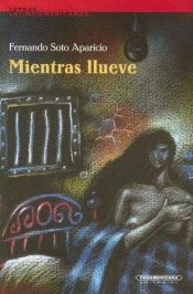 book cover of Mientras llueve by Fernando Soto Aparicio