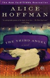 book cover of The Third Angel by Alice Hoffman