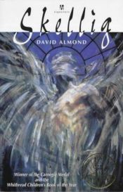 book cover of Gåten Skellig by David Almond