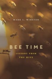book cover of Bee Time: Lessons from the Hive by Mark L Winston
