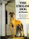 English Dog at Home