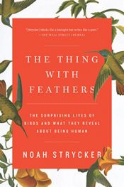 book cover of The Thing with Feathers: The Surprising Lives of Birds and What They Reveal About Being Human by Noah Strycker