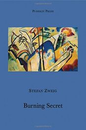 book cover of The Burning Secret and other stories by Стефан Цвейг