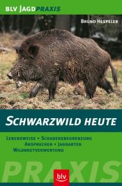 book cover of Schwarzwild heute by Bruno Hespeler