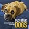 Designer Dogs: Labradoodle & Co. im Porträt