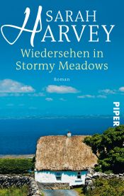 book cover of Wiedersehen in Stormy Meadows by Sarah Harvey