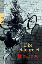 book cover of Die Liebe. Eine Erzählung. by Elke Heidenreich