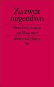 book cover of Zu zweit nirgendwo by Ales Steger