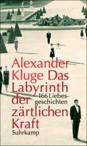 book cover of Das Labyrinth der zärtlichen Kraft: 166 Liebesgeschichten by Alexander Kluge