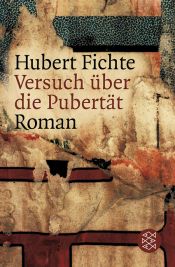book cover of Versuch über die Pubertät by Hubert Fichte