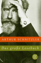 book cover of Das große Lesebuch by 亞瑟·史尼茲勒