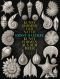 Ernst Haeckel: Kunstformen der Natur - Kunstformen aus dem Meer