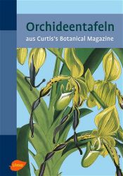 book cover of Orchideentafeln by Alexandra Marinina