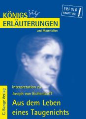 book cover of Aus dem Leben eines Taugenichts by Reiner Poppe