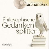 book cover of Philosophische Gedankensplitter by Jörg Zittlau