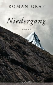 book cover of Niedergang by Roman Graf