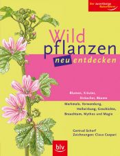 book cover of Wildpflanzen neu entdecken by Gertrud Scherf