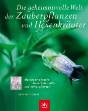 book cover of Die geheimnisvolle Welt der Zauberpflanzen und Hexenkräuter by Gertrud Scherf