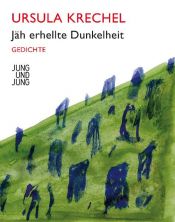 book cover of Jäh erhellte Dunkelheit: Gedichte by Ursula Krechel