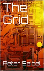 book cover of The Grid by Peter Seibel