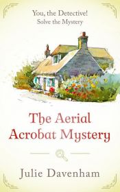 book cover of The Aerial Acrobat Mystery by Julie Davenham