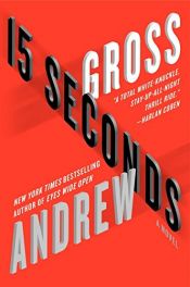 book cover of 15 Seconds by Andrew Gross