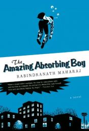 book cover of The Amazing Absorbing Boy by Rabindranath Maharaj