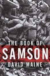 book cover of The Book of Samson by David Maine