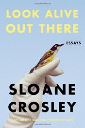 book cover of Look Alive Out There by Sloane Crosley