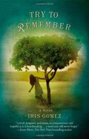 book cover of Try to Remember by Iris Gomez