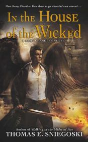 book cover of In the House of the Wicked by Tom Sniegoski