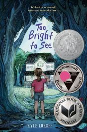 book cover of Too Bright to See by Kyle Lukoff