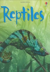 book cover of Reptiles (Usborne Beginners) by Catriona Clarke