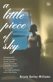 book cover of A Little Piece of Sky by Nicole Bailey Williams