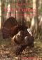 The Book of the Wild Turkey