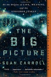 book cover of The Big Picture: On the Origins of Life, Meaning, and the Universe Itself by Sean B. Carroll