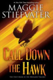 book cover of Call Down the Hawk by Маги Стийвотър