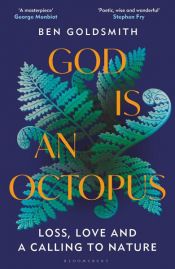 book cover of God Is An Octopus by Ben Goldsmith