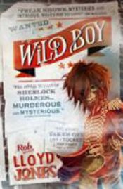 book cover of Wild Boy by Rob Lloyd Jones