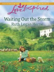 book cover of Waiting Out the Storm (Love Inspired #575) by Ruth Logan Herne