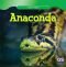 Anaconda