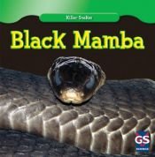 book cover of Black Mamba by Angelo Gangemi