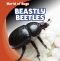 Beastly Beetles (World of Bugs)