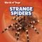 Strange Spiders (World of Bugs)