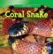 Coral Snake (Killer Snakes)