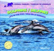 book cover of Dolphins by Willow Clark