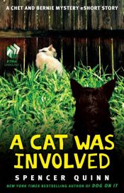 book cover of A Cat Was Involved by Spencer Quinn