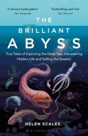 book cover of The Brilliant Abyss by Ph.D. Scales, Helen